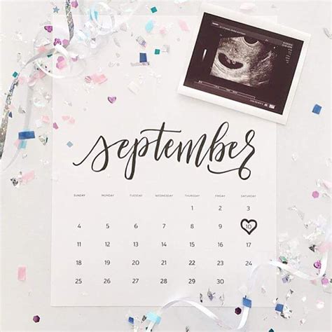 Alpha Mom Pregnancy Calendar